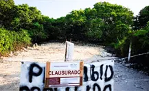 Clausuras, aseguramientos y rescates: recuento de acciones de Profepa en Yucatán durante 2025