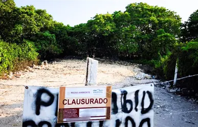 Clausuras, aseguramientos y rescates: recuento de acciones de Profepa en Yucatán durante 2025