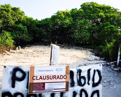 Clausuras, aseguramientos y rescates: recuento de acciones de Profepa en Yucatán durante 2025