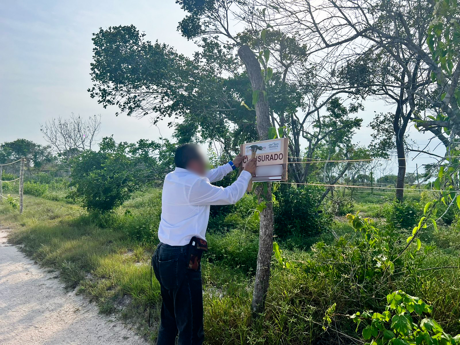 imagen-cuerpo imagen-cuerpo