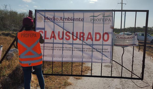 imagen-cuerpo imagen-cuerpo