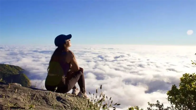 imagen recuadro Este fenómeno es más común durante las mañanas de otoño e invierno, cuando las temperaturas nocturnas favorecen la condensación de la humedad. Foto: Reserva de la Biosfera Sierra La Laguna / Facebook