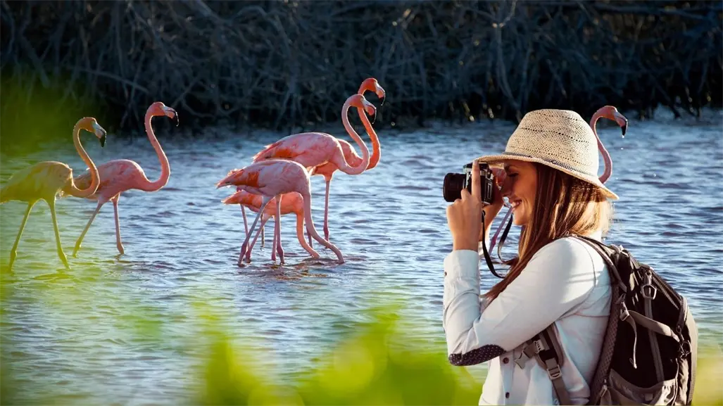 Turismo en Yucatán crece en 2025 y se consolida como motor económico del estado