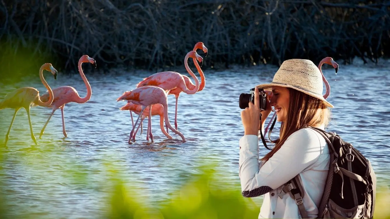 Los atractivos del estado reforzaron su posicionamiento. Foto: Canva / Adity Cupil