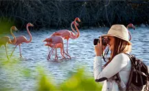 Turismo en Yucatán crece en 2025 y se consolida como motor económico del estado Turismo en Yucatán crece en 2025 y se consolida como motor económico del estado