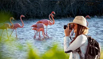 Turismo en Yucatán crece en 2025 y se consolida como motor económico del estado