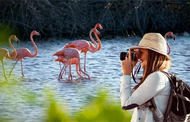 Turismo en Yucatán crece en 2025 y se consolida como motor económico del estado