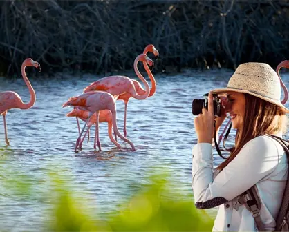 Turismo en Yucatán crece en 2025 y se consolida como motor económico del estado