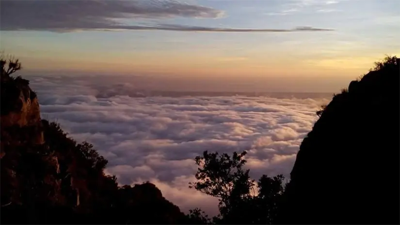 imagen recuadro El llamado mar de nubes se forma cuando la humedad del océano asciende por la sierra y queda atrapada en los valles, creando una capa de neblina que cubre el paisaje. Foto: Reserva de la Biosfera Sierra La Laguna