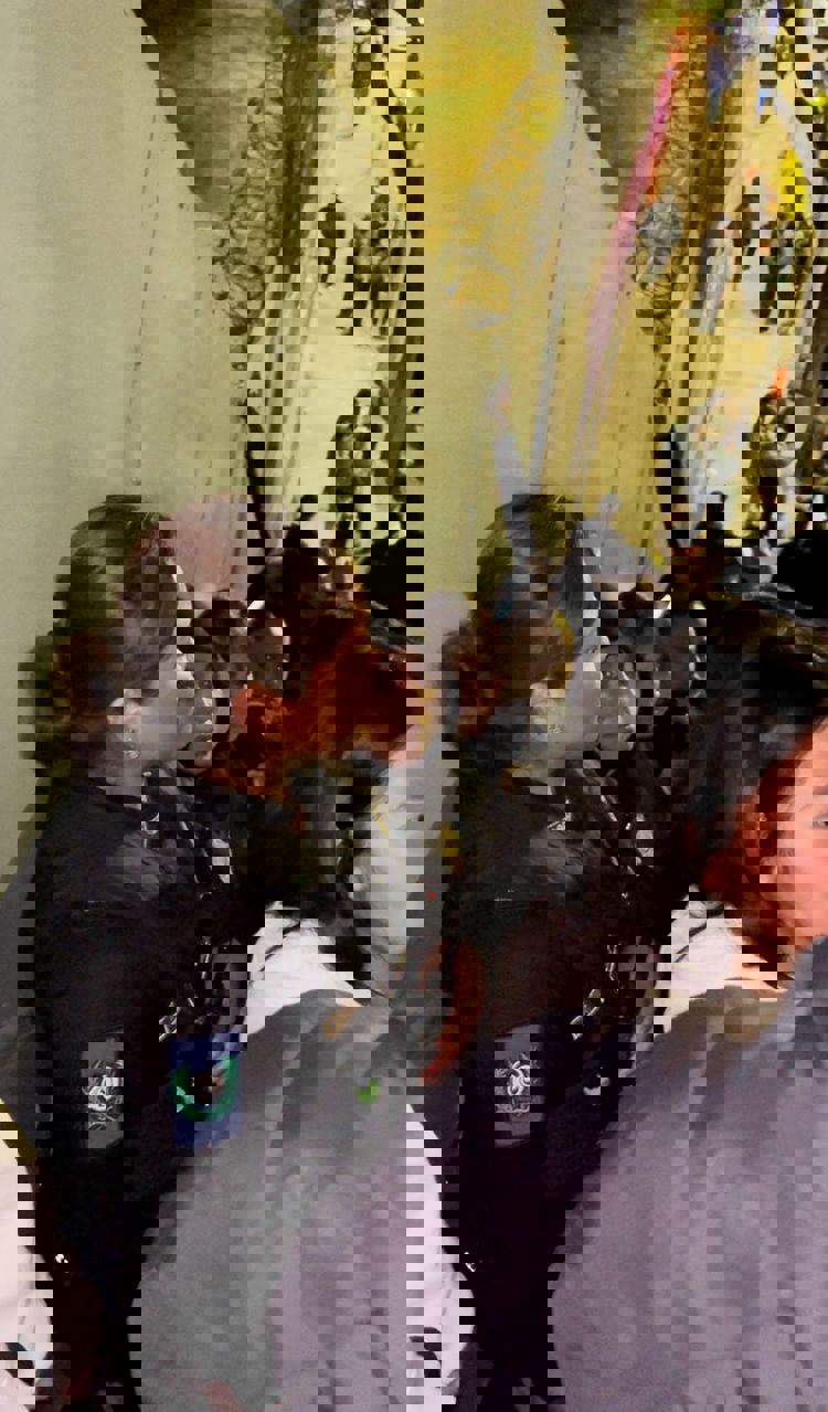 imagen-cuerpo imagen-cuerpo