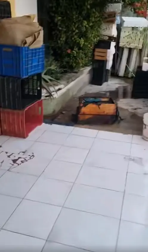 imagen recuadro Foto: Facebook (Información Digital Escárcega)