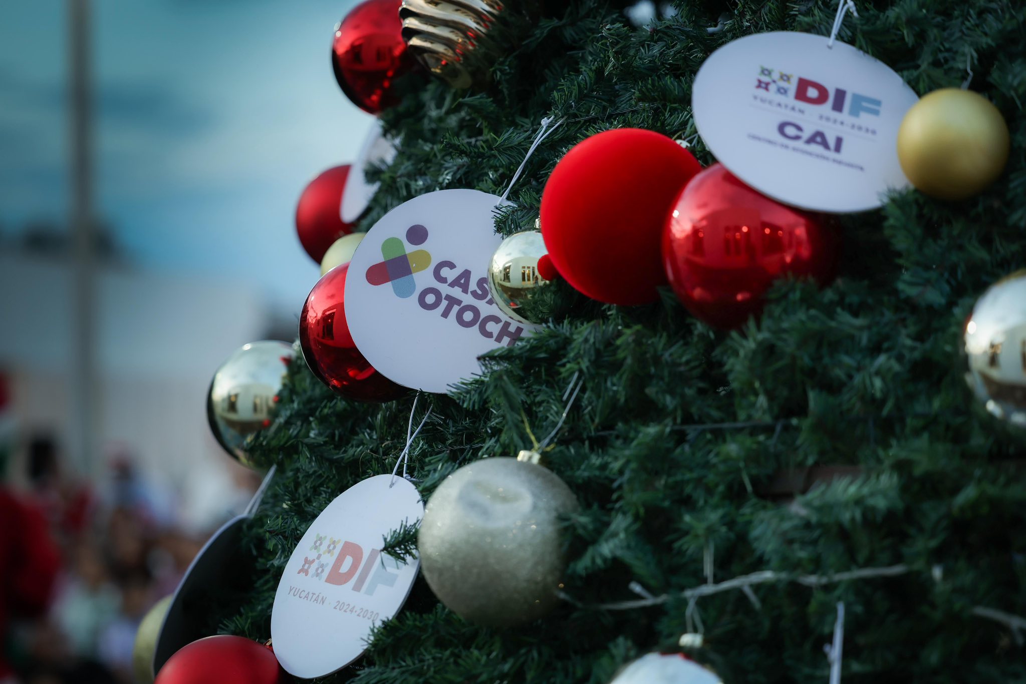 imagen-cuerpo imagen-cuerpo