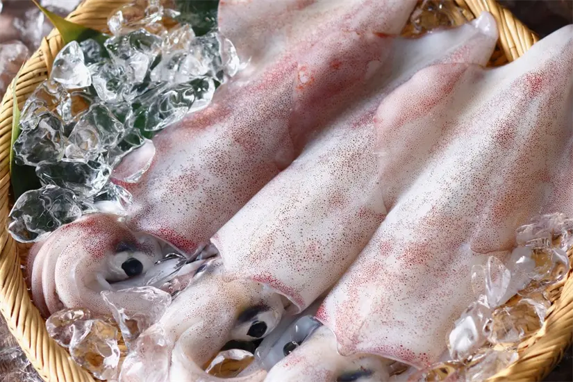 imagen recuadro Foto: Biblioteca Canva