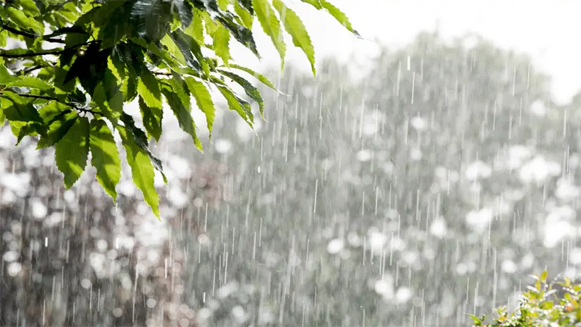 imagen recuadro Foto: Canva