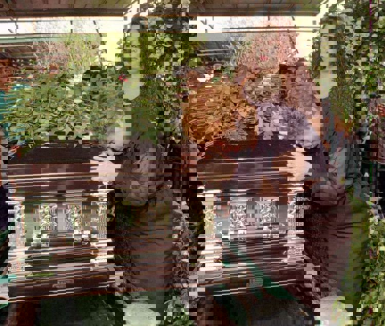 imagen-cuerpo imagen-cuerpo