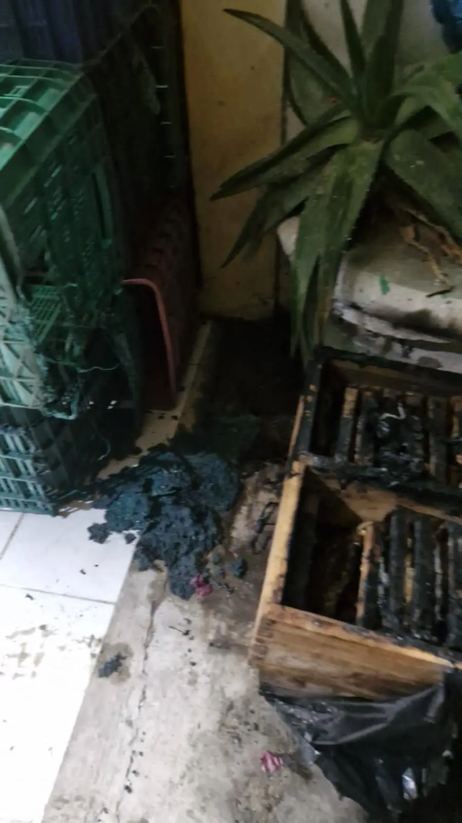 imagen recuadro Foto: X (@Cachoperiodista)