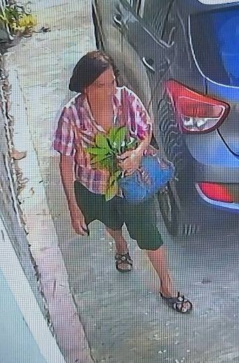 imagen-cuerpo imagen-cuerpo