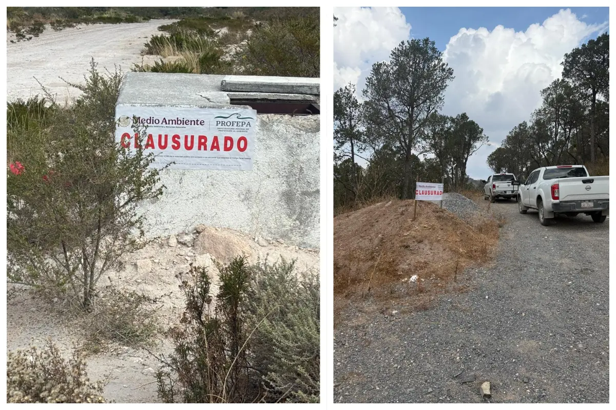 Profepa clausura pozo de agua en Saltillo y fraccionamiento en Arteaga, Coahuila. Foto: Profepa | Canva