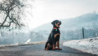 Estos fueron los lugares más fríos de Durango el 12 de diciembre