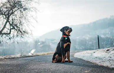 Estos fueron los lugares más fríos de Durango el 12 de diciembre