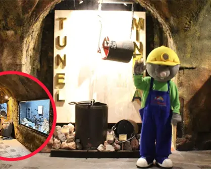 El T&uacute;nel de Miner&iacute;a ser&aacute; gratis para los ni&ntilde;os el 20 de diciembre si hacen esto