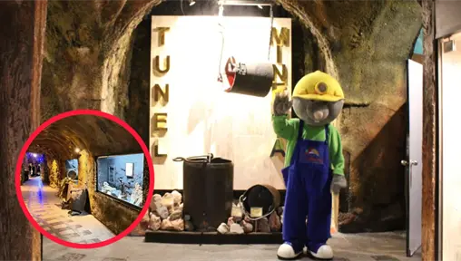 El Túnel de Minería será gratis para los niños el 20 de diciembre si hacen esto El Túnel de Minería será gratis para los niños el 20 de diciembre si hacen esto