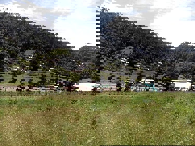 imagen-cuerpo imagen-cuerpo