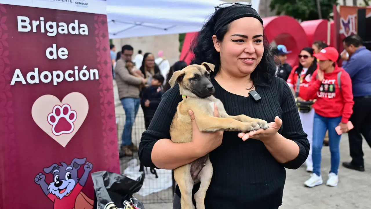 Evento para finalizar la recepción de las donaciones en Edomex. Foto: X (@delfinagomeza)