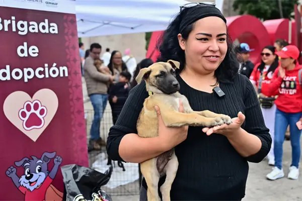 Autoridades del Edomex entregar&aacute; donaciones a los Centros de Bienestar Animal