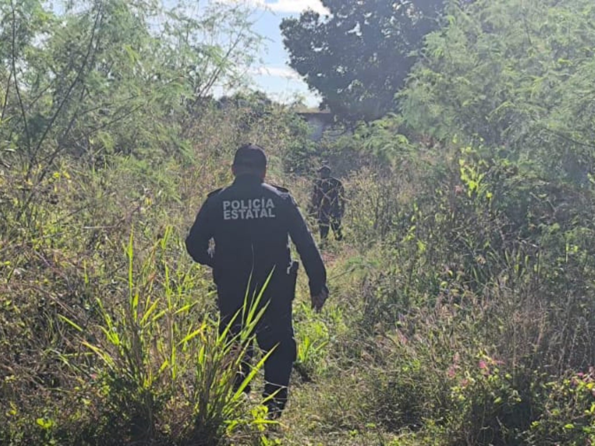 imagen-cuerpo imagen-cuerpo