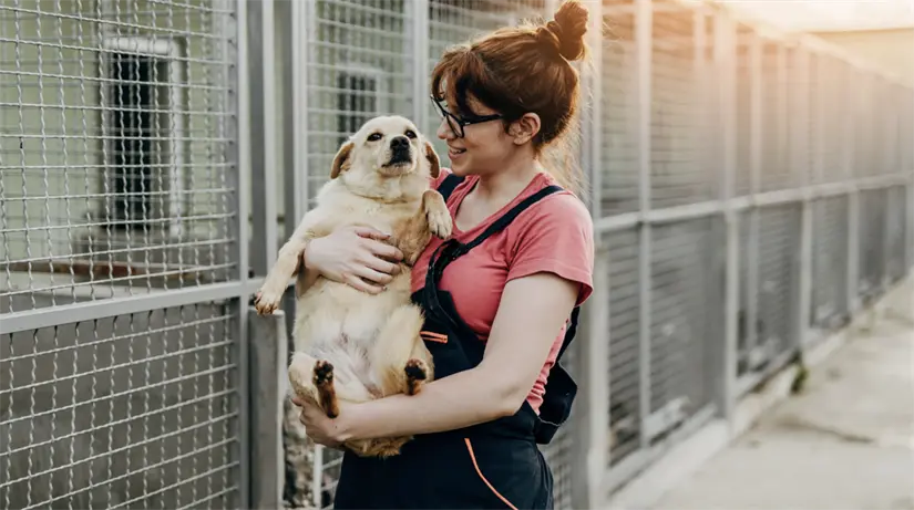 imagen recuadro Veterinario con un perro y jaulas detrás, situación que podría generar una multa. Foto: Canva