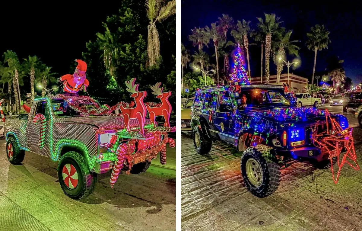 Foto: Vive La Paz MX