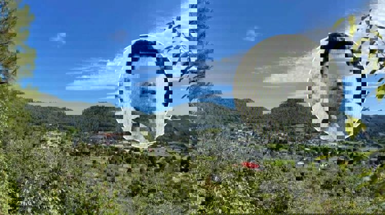 imagen-cuerpo imagen-cuerpo