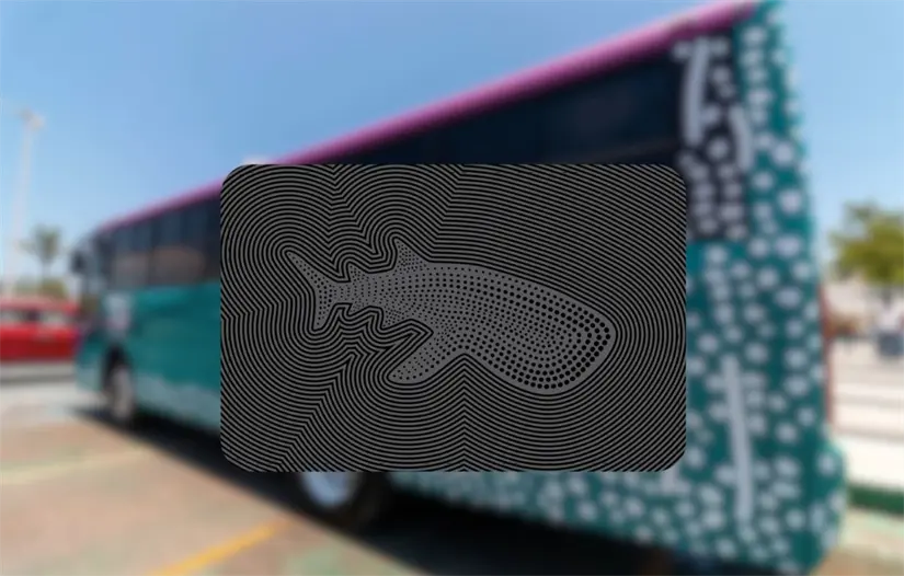 imagen recuadro Foto: POSTA Baja California Sur | Foto: Tiburón Urbano