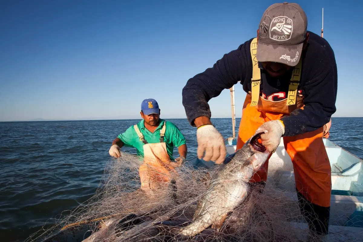 La capacitación ofrecida por CONAPESCA se centra en temas esenciales para transformar las operaciones acuícolas. Foto: Gobierno de México