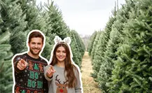 Feria del Pino 2025: ¿De dónde vienen los pinos que llegan a Nuevo León? Feria del Pino 2025: ¿De dónde vienen los pinos que llegan a Nuevo León?