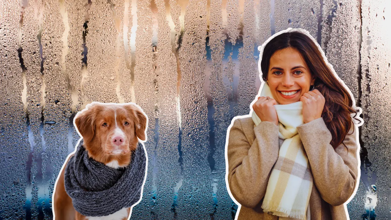 Frente frio 21 con descenso de temperatura y lluvias en Tamaulipas este lunes 16 de Diciembre. FOTO | Canva