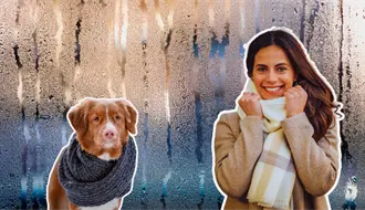 Frente frío 21 con descenso de temperatura, lluvias y aguanieve en zonas altas este lunes 16 de diciembre en Tamaulipas