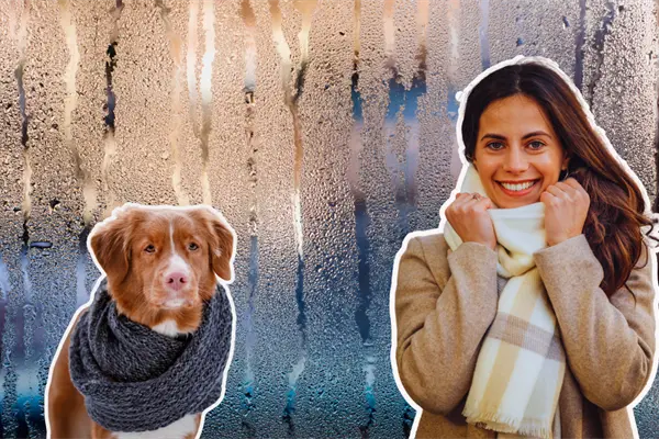 Frente frío 21 con descenso de temperatura, lluvias y aguanieve en zonas altas este lunes 16 de diciembre en Tamaulipas Frente frío 21 con descenso de temperatura, lluvias y aguanieve en zonas altas este lunes 16 de diciembre en Tamaulipas