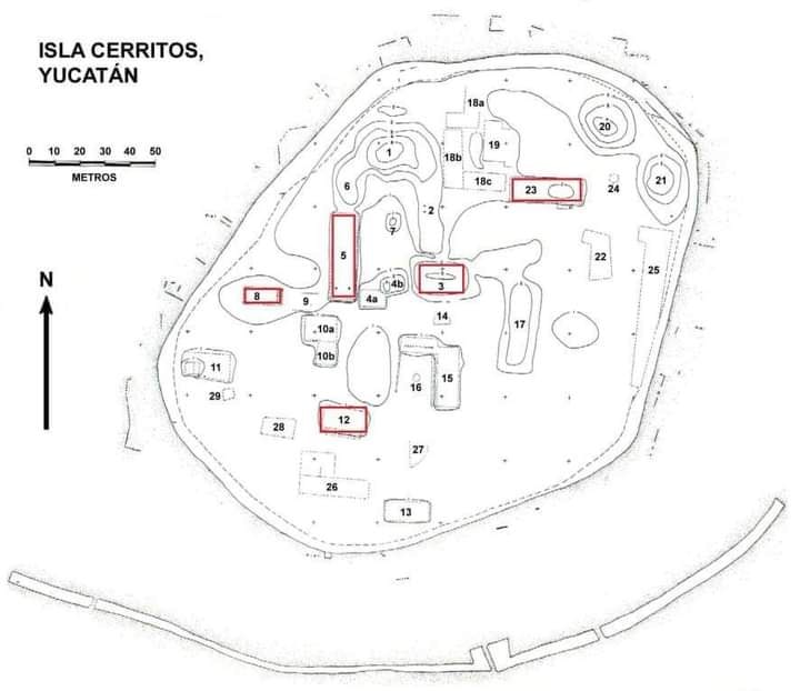 imagen-cuerpo imagen-cuerpo