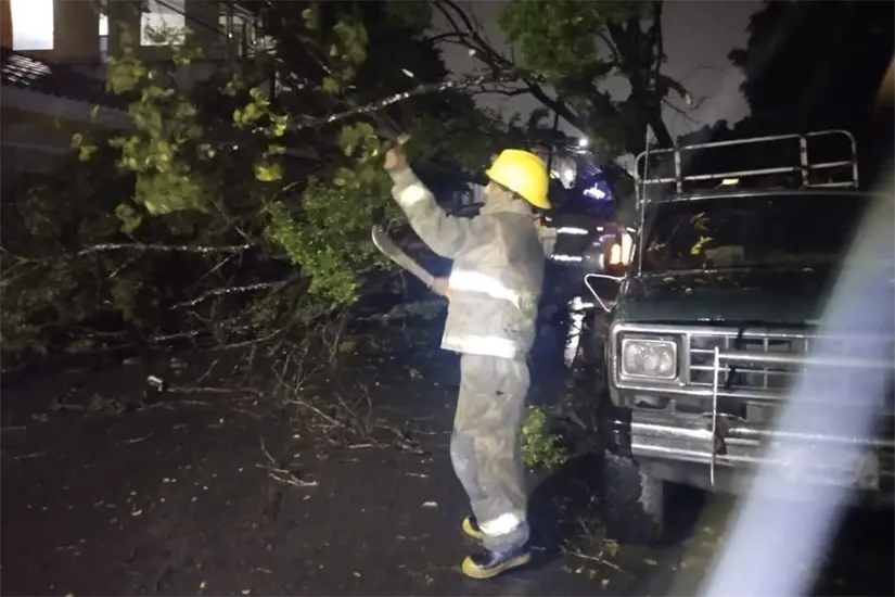 imagen recuadro El fenómeno meteorológico también provocó la caída de árboles. Foto: Victoria Jiménez