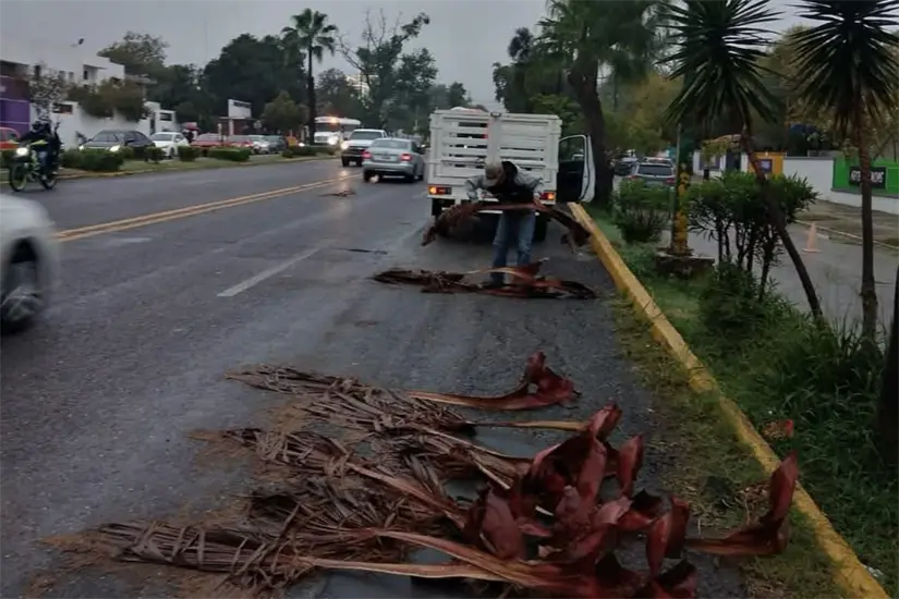 imagen recuadro Foto: Victoria Jiménez