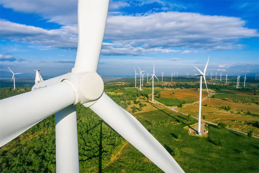 Parque Eólico Freepik Freepik