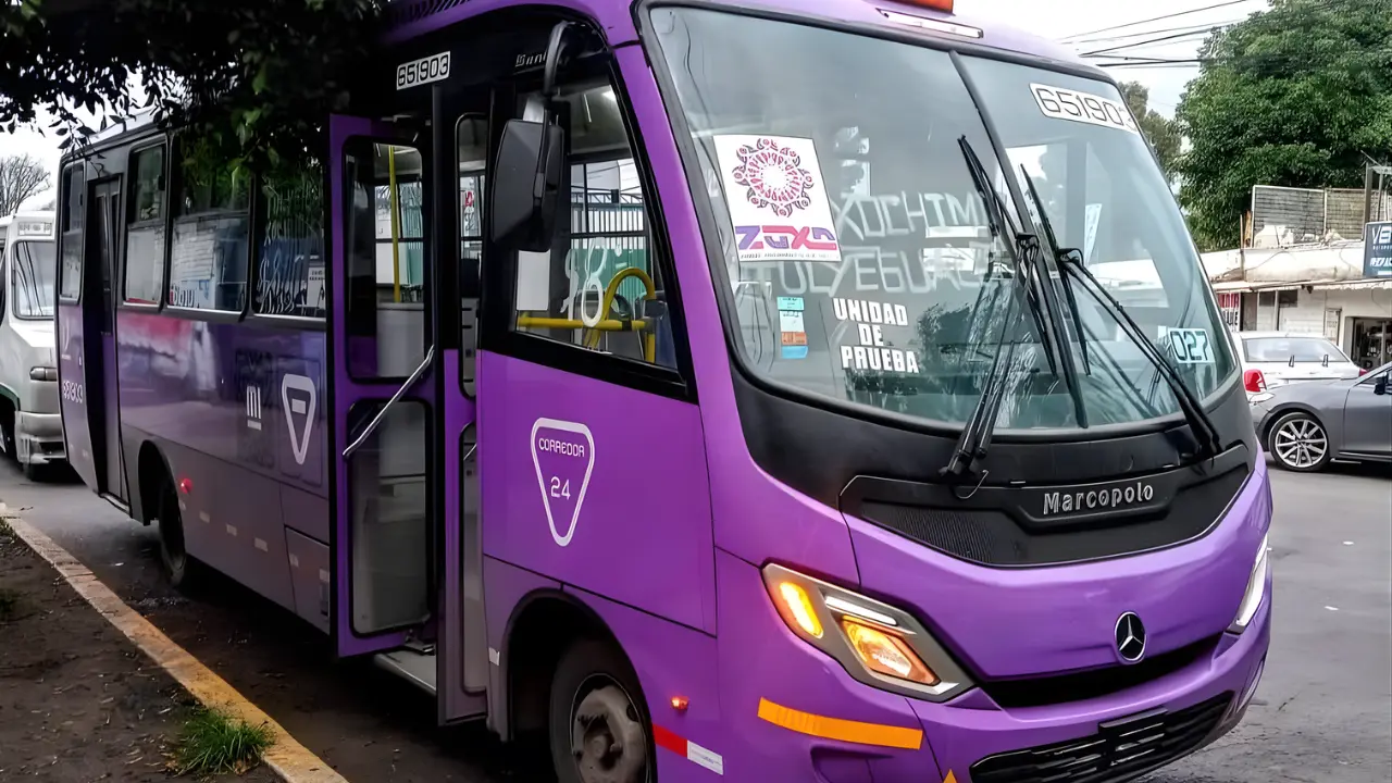 Esta riña afectó a la mamá de las mujeres y sorprendió a los pasajeros. Foto: FB Xochimilco comunidad