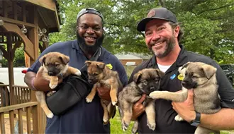 ¿Cómo trabajar en la empresa que trajo a Dua Lipa en Cancún? ¡Estas son las vacantes!!