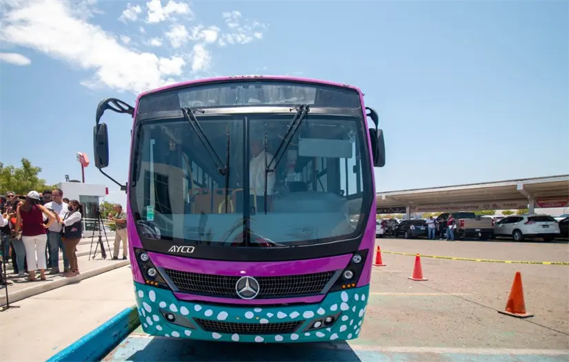 imagen recuadro Foto: POSTA Baja California Sur | Foto: Tiburón Urbano