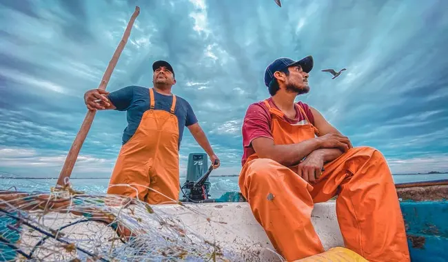 Ciclo de cursos virtuales y gratuitos CONAPESCA