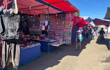 ¿Qué tan segura fue la romería del 12 de diciembre en Durango según Protección Civil?