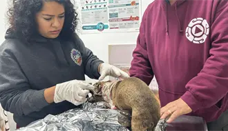Explosión de tanque de gas en Escobedo deja a una familia y su perrita heridos