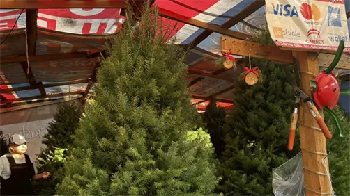 Nuevo León, entre los estados que más basura generan en México durante la temporada navideña Nuevo León, entre los estados que más basura generan en México durante la temporada navideña